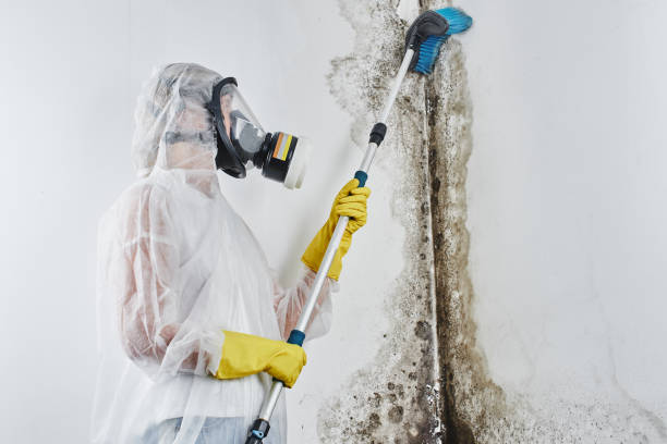 Best Mold Remediation for Specific Building Types in Victory Gardens, NJ