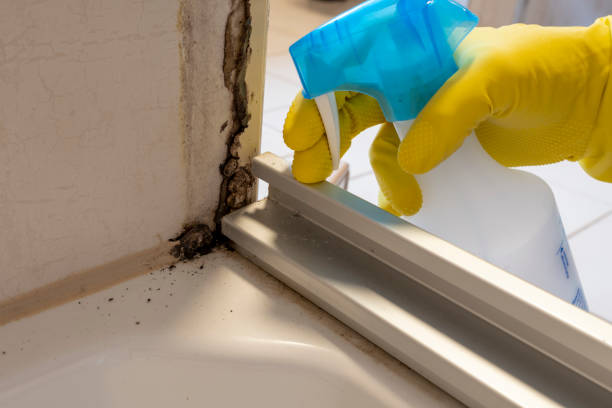 Best HVAC Mold Remediation in Victory Gardens, NJ