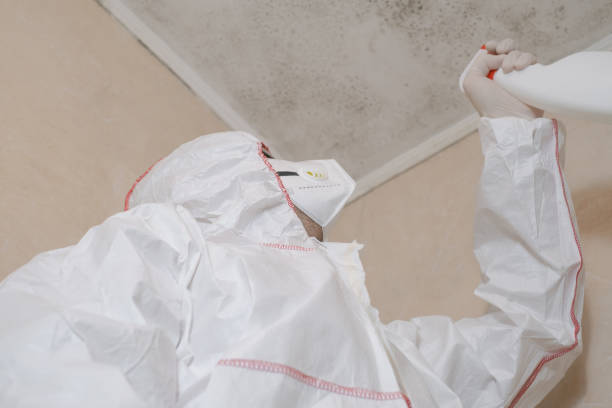 Best Post-Flood Mold Remediation in Victory Gardens, NJ