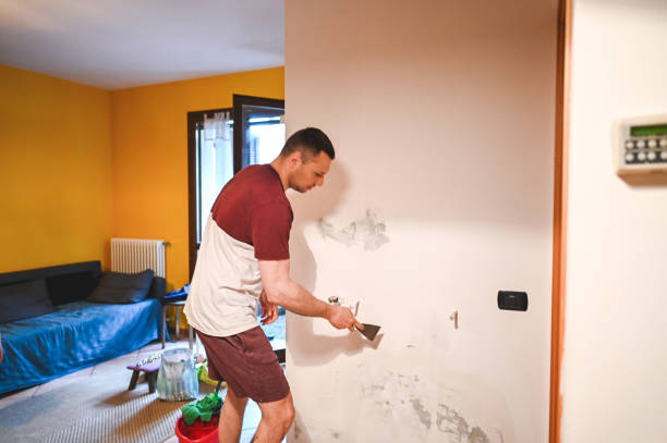 Best Residential Mold Remediation in Victory Gardens, NJ