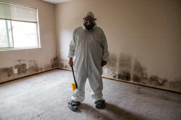 Best Residential Mold Remediation in Victory Gardens, NJ